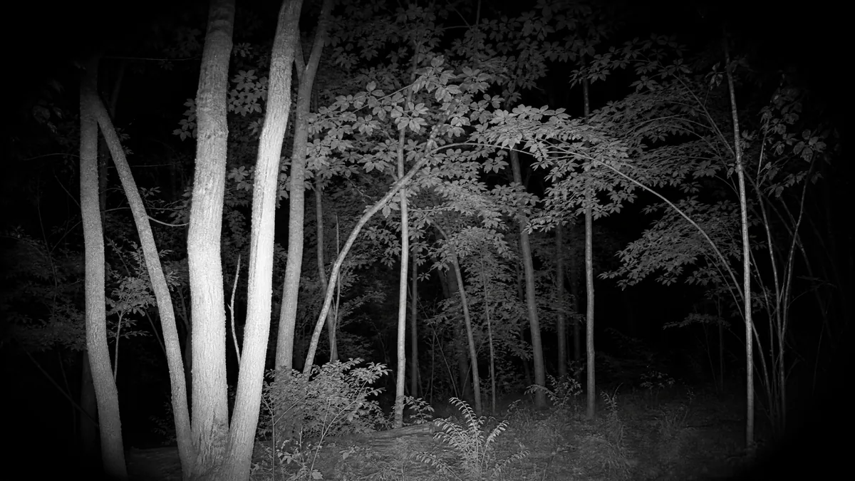 Standardizing Night Vision Performance: Why We Use Real-World Stress Tests